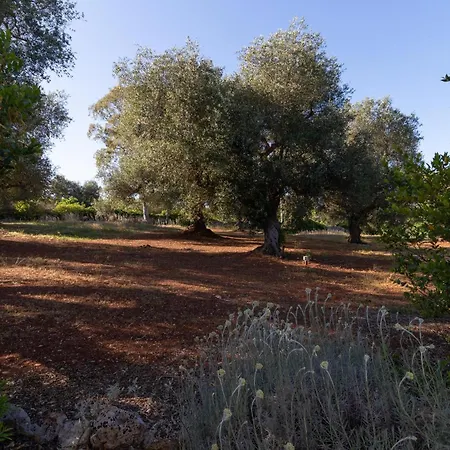 Trulli San Pietro بيت للعطل سيغلي ميسابيكا