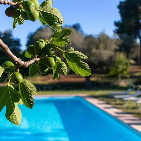Trulli San Pietro بيت للعطل سيغلي ميسابيكا